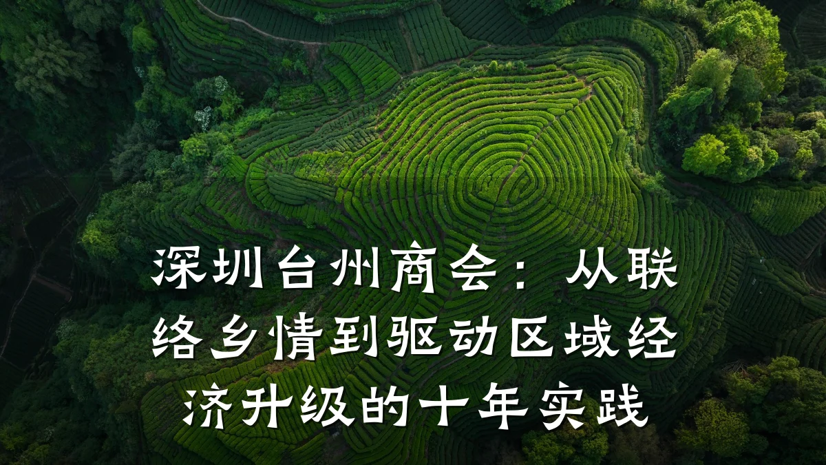 深圳台州商会：从联络乡情到驱动区域经济升级的十年实践