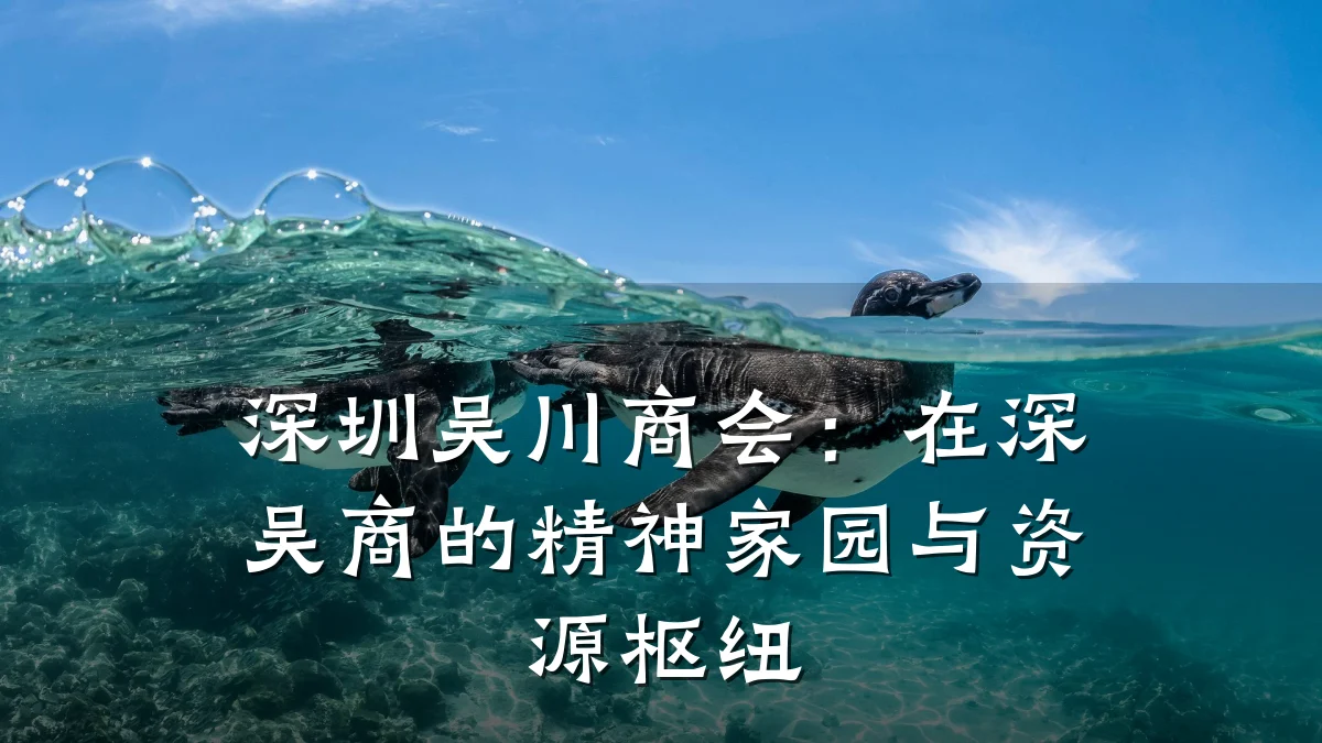 深圳吴川商会:在深吴商的精神家园与资源枢纽