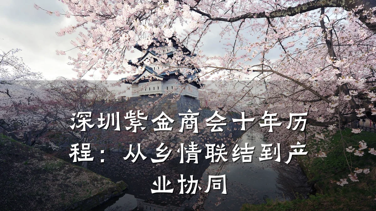 深圳紫金商会十年历程：从乡情联结到产业协同