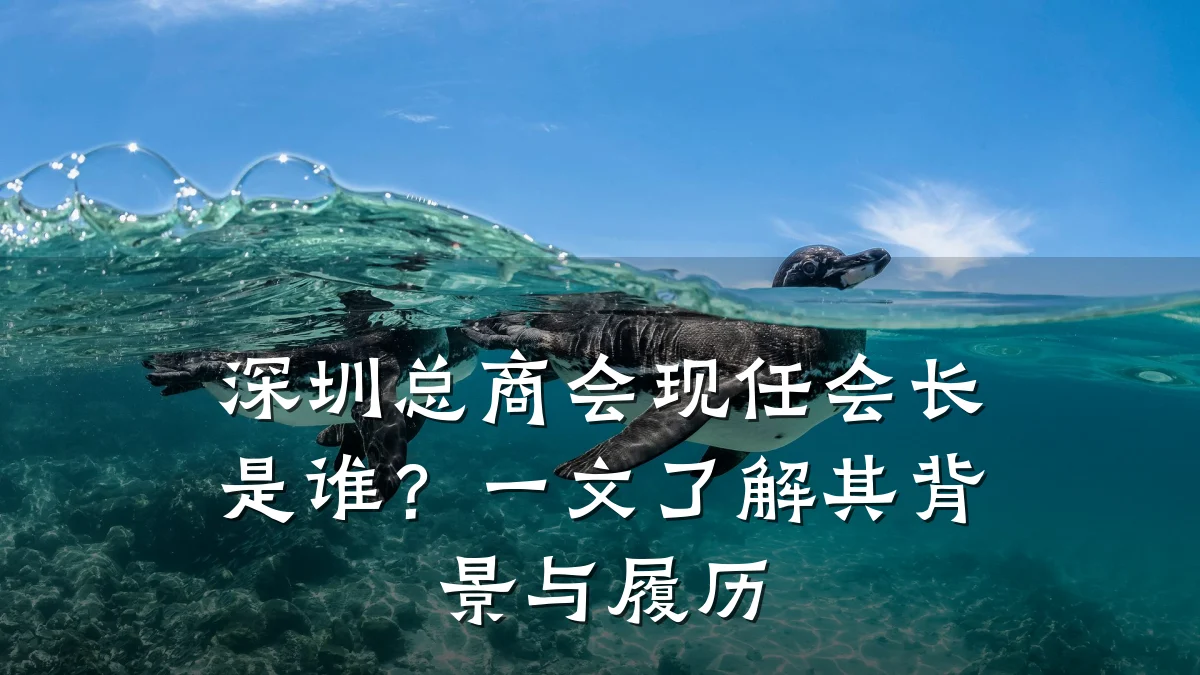 深圳总商会现任会长是谁?一文了解其背景与履历