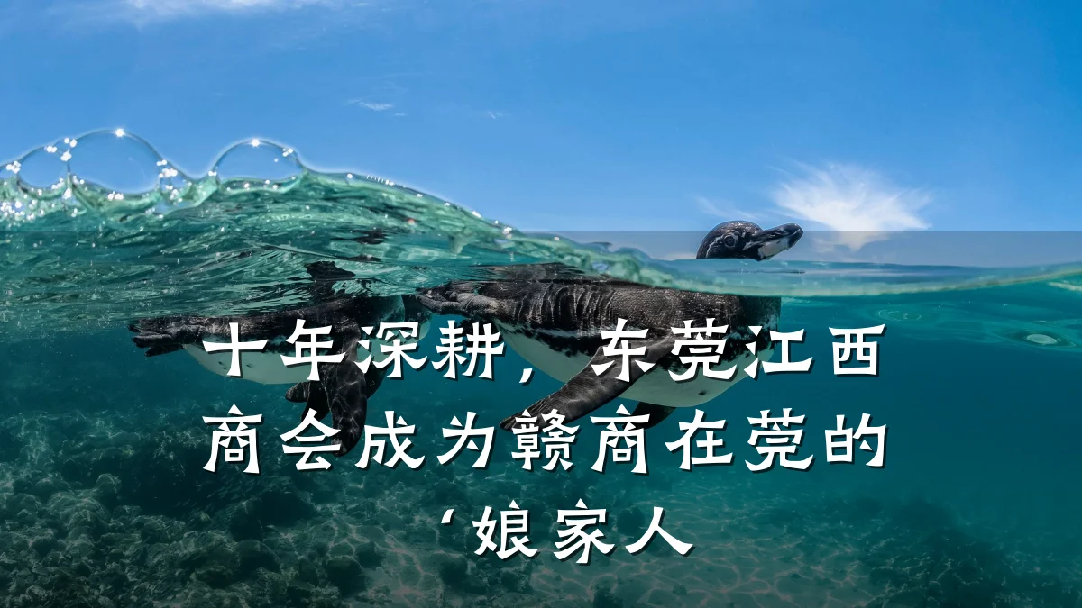 十年深耕,东莞江西商会成为赣商在莞的‘娘家人