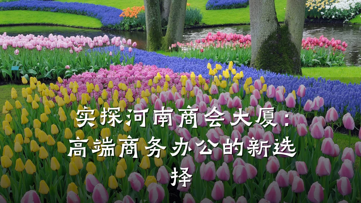 实探河南商会大厦：高端商务办公的新选择