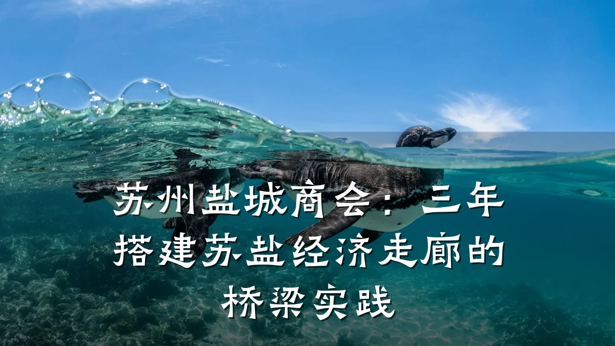 苏州盐城商会:三年搭建苏盐经济走廊的桥梁实践