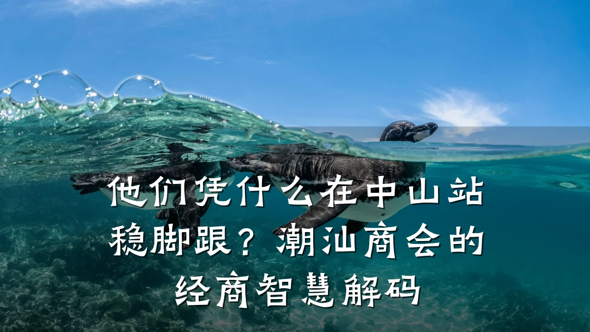他们凭什么在中山站稳脚跟?潮汕商会的经商智慧解码