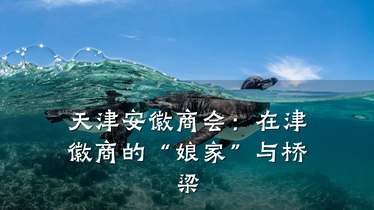 天津安徽商会:在津徽商的“娘家”与桥梁