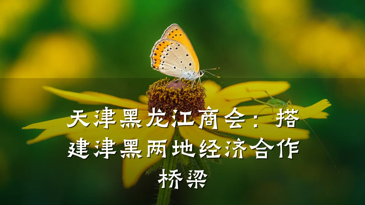 天津黑龙江商会:搭建津黑两地经济合作桥梁