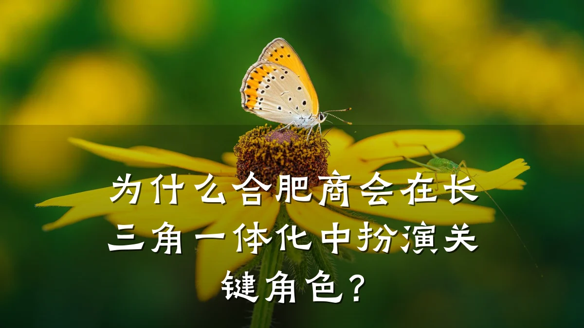 为什么合肥商会在长三角一体化中扮演关键角色?