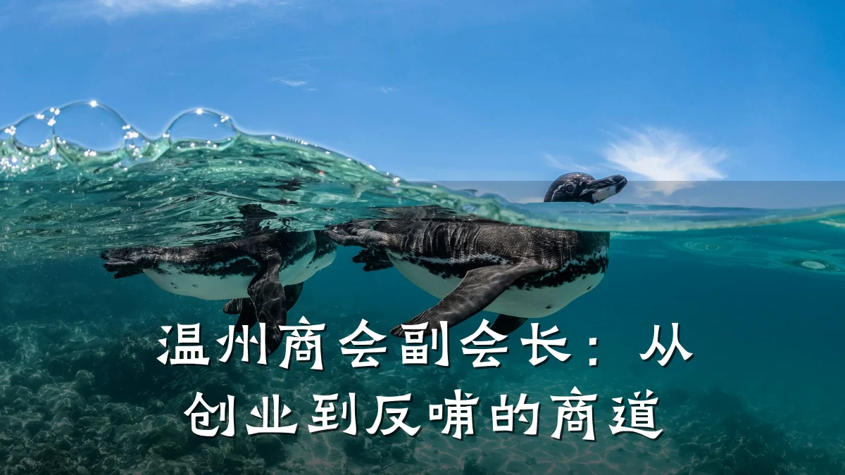 温州商会副会长:从创业到反哺的商道