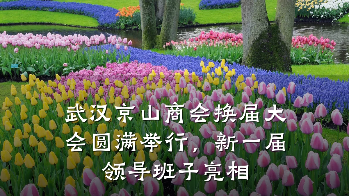 武汉京山商会换届大会圆满举行，新一届领导班子亮相