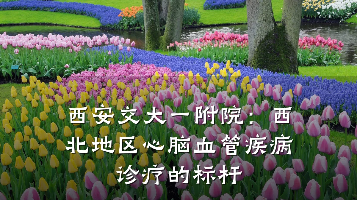 西安交大一附院:西北地区心脑血管疾病诊疗的标杆