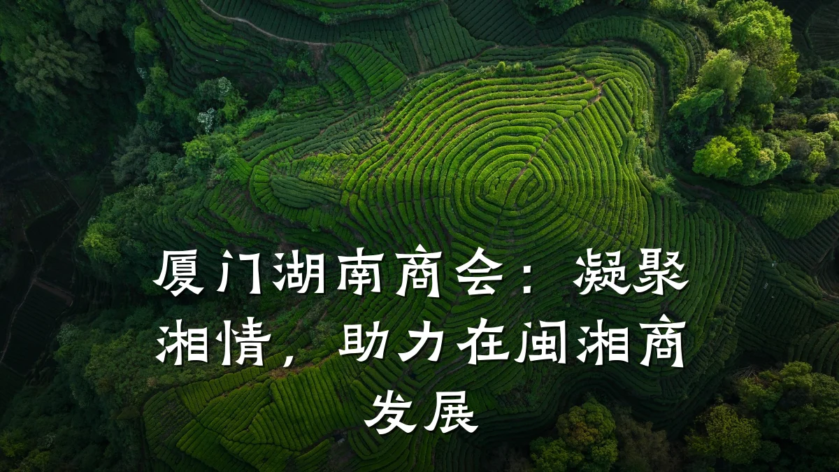 厦门湖南商会:凝聚湘情,助力在闽湘商发展