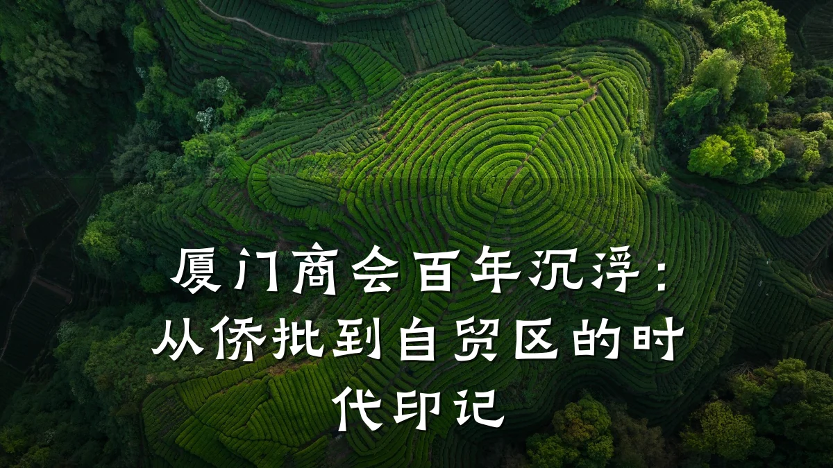厦门商会百年沉浮：从侨批到自贸区的时代印记