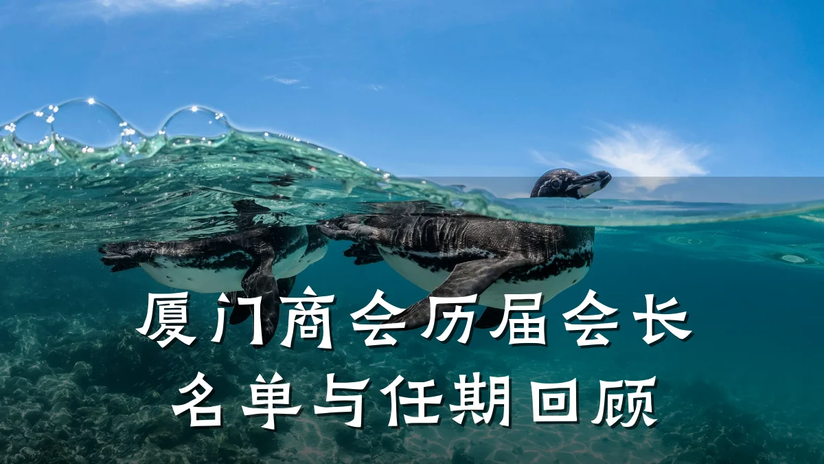 厦门商会历届会长名单与任期回顾
