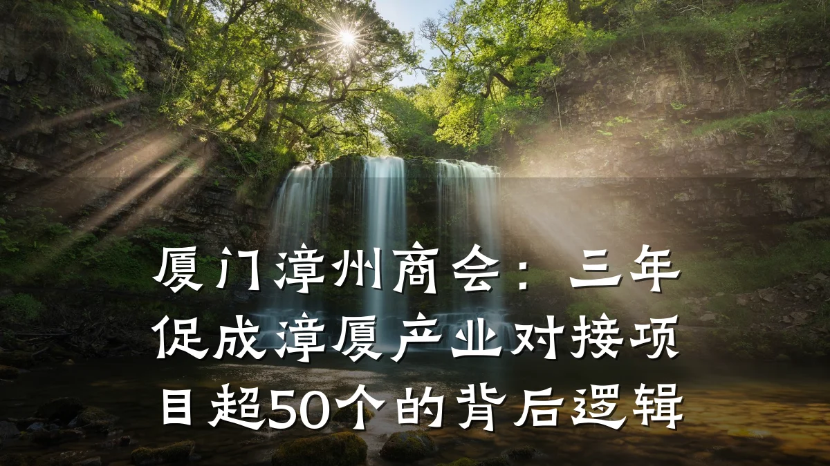 厦门漳州商会:三年促成漳厦产业对接项目超50个的背后逻辑