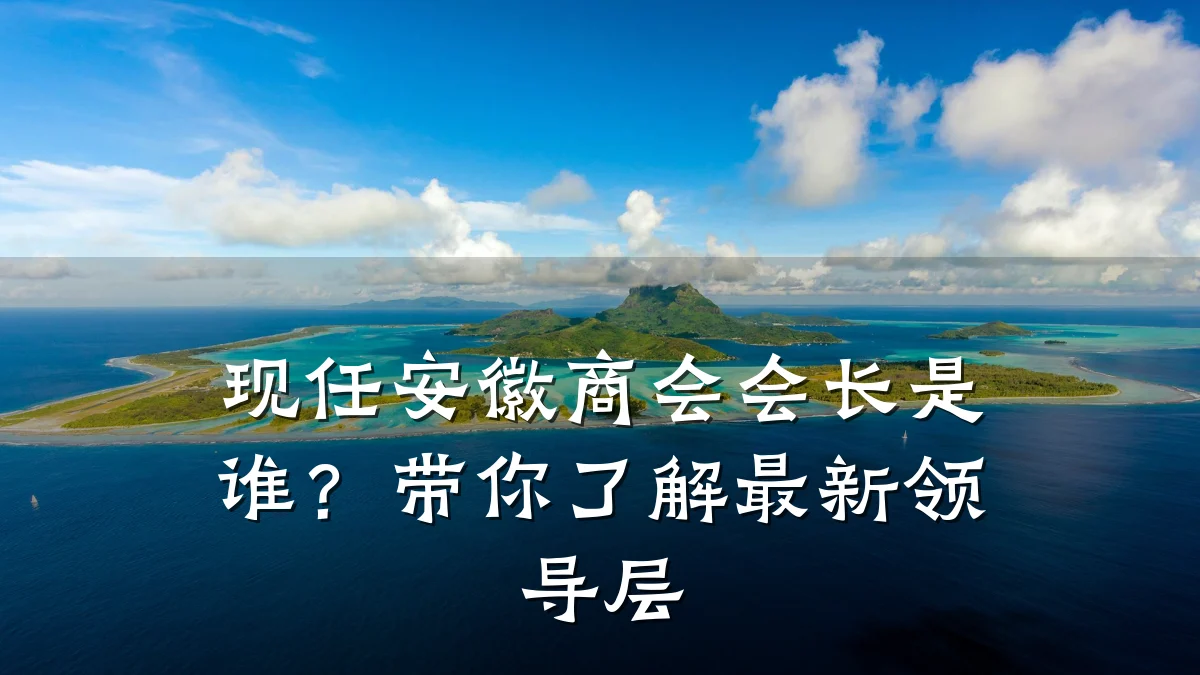 现任安徽商会会长是谁？带你了解最新领导层