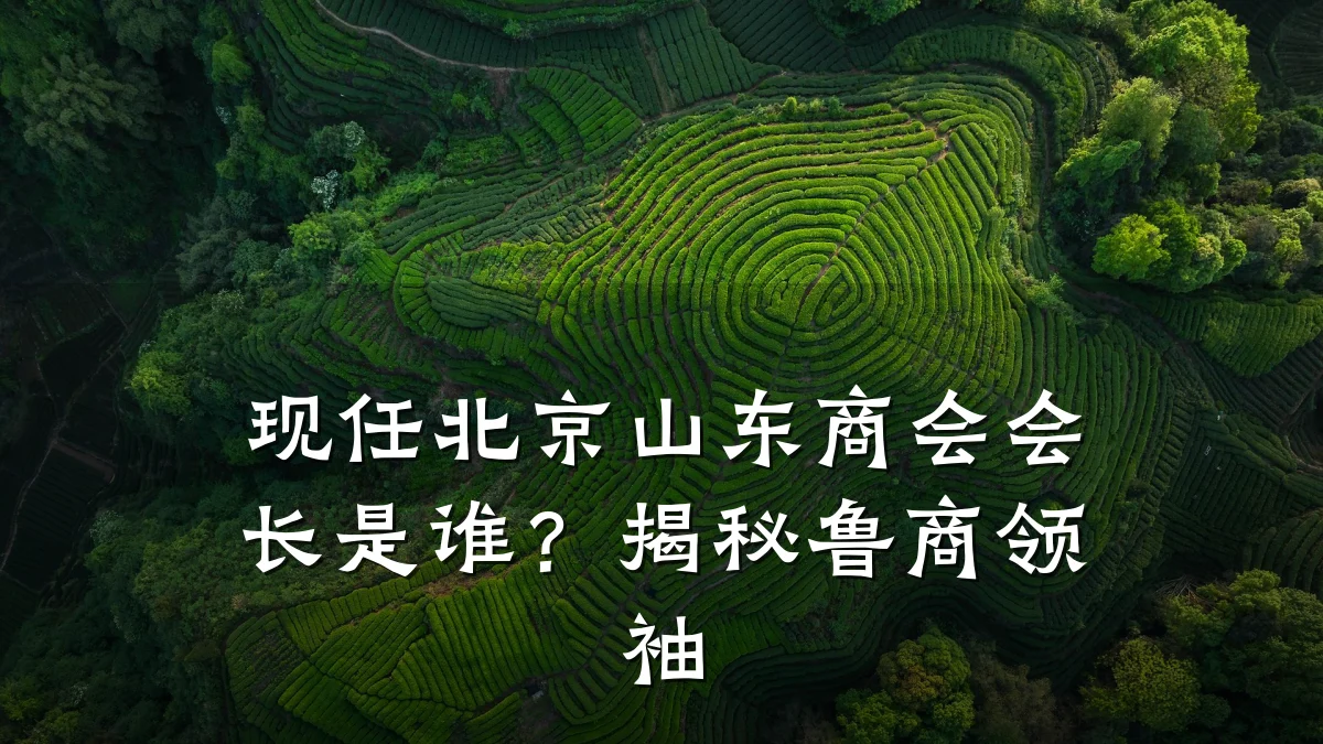 现任北京山东商会会长是谁?揭秘鲁商领袖