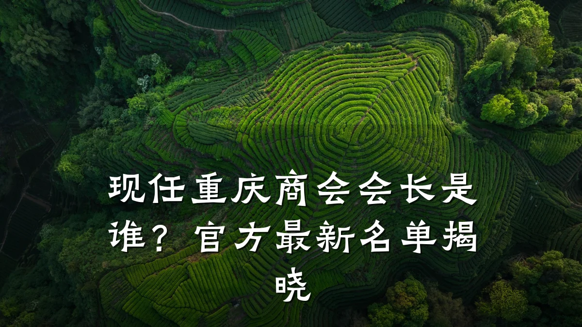 现任重庆商会会长是谁?官方最新名单揭晓