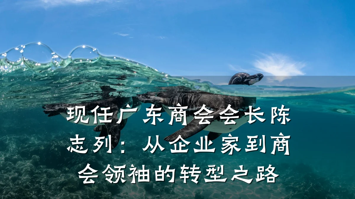 现任广东商会会长陈志列:从企业家到商会领袖的转型之路