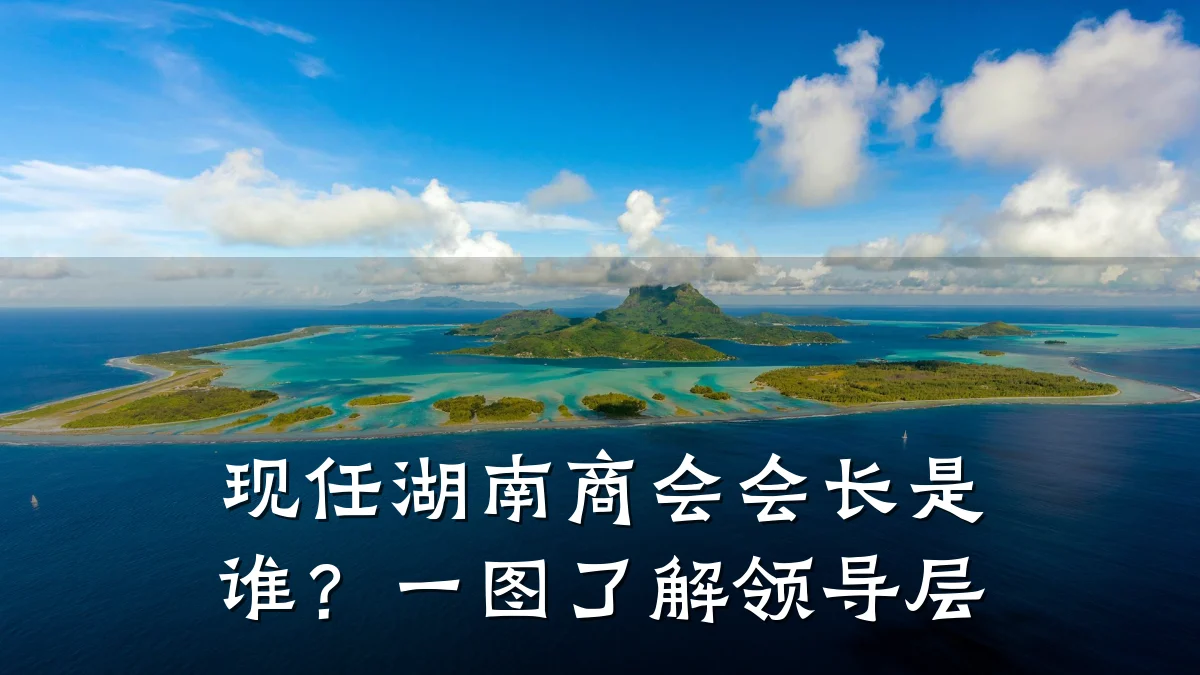 现任湖南商会会长是谁?一图了解领导层