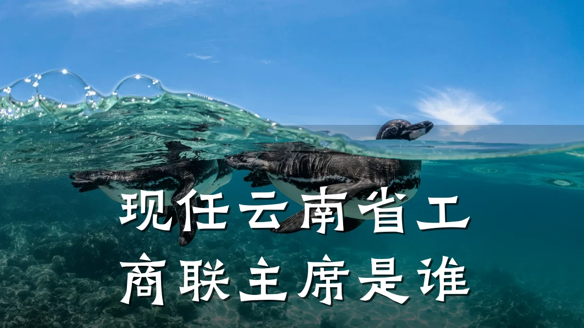 现任云南省工商联主席是谁