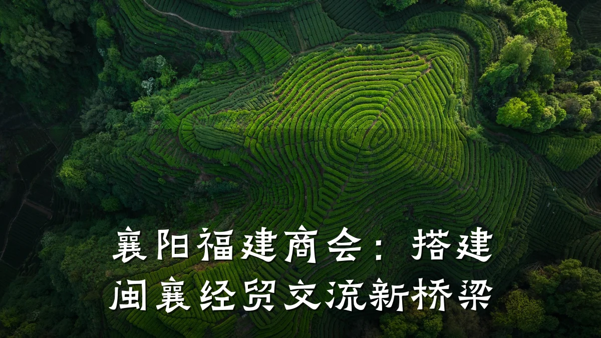 襄阳福建商会:搭建闽襄经贸交流新桥梁