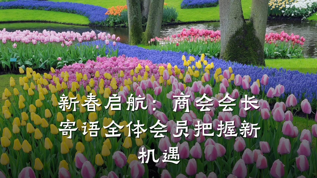 新春启航：商会会长寄语全体会员把握新机遇