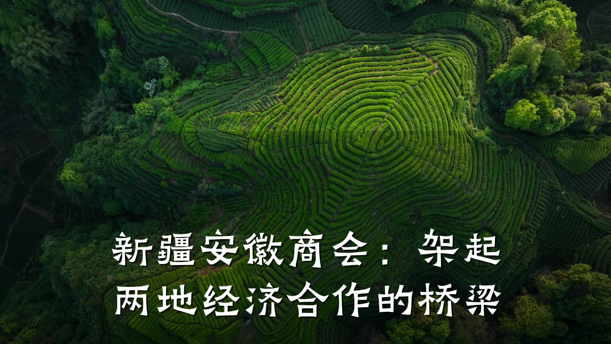 新疆安徽商会:架起两地经济合作的桥梁