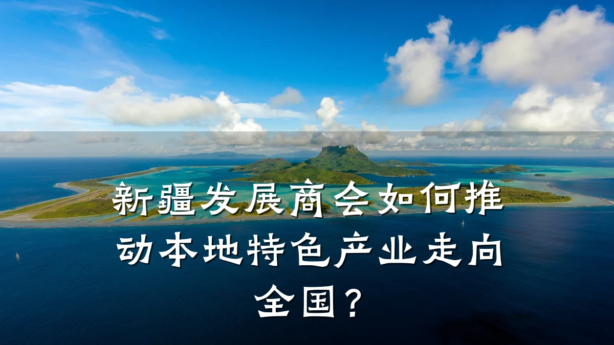 新疆发展商会如何推动本地特色产业走向全国?