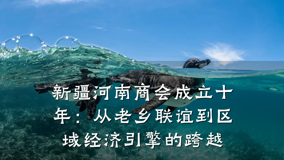 新疆河南商会成立十年：从老乡联谊到区域经济引擎的跨越