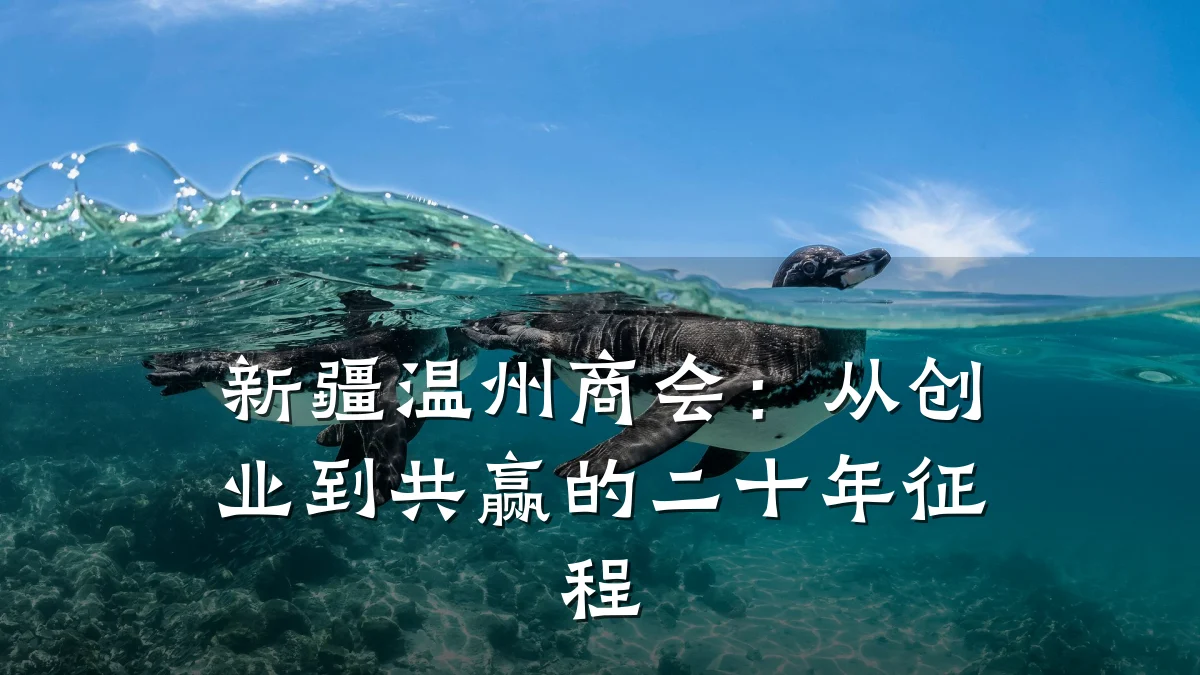 新疆温州商会:从创业到共赢的二十年征程