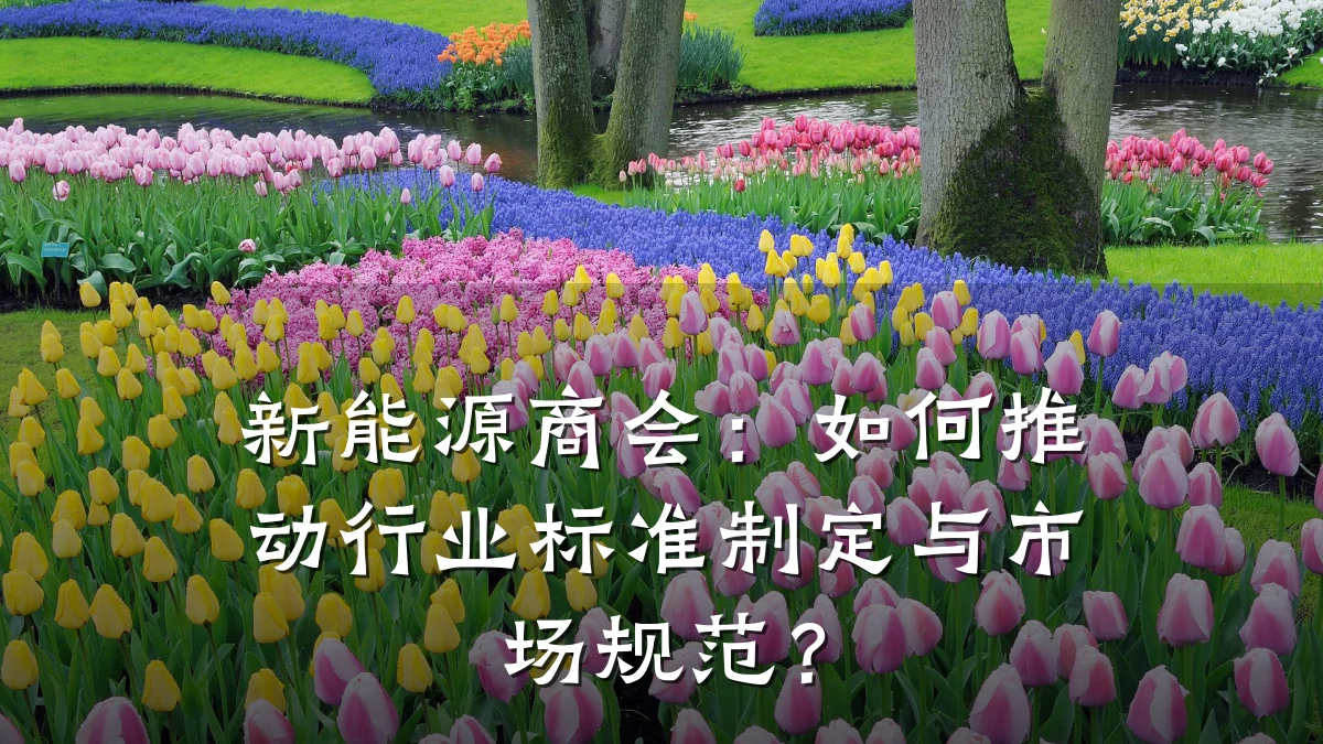 新能源商会:如何推动行业标准制定与市场规范?