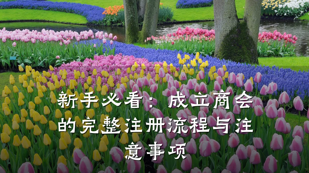 新手必看:成立商会的完整注册流程与注意事项