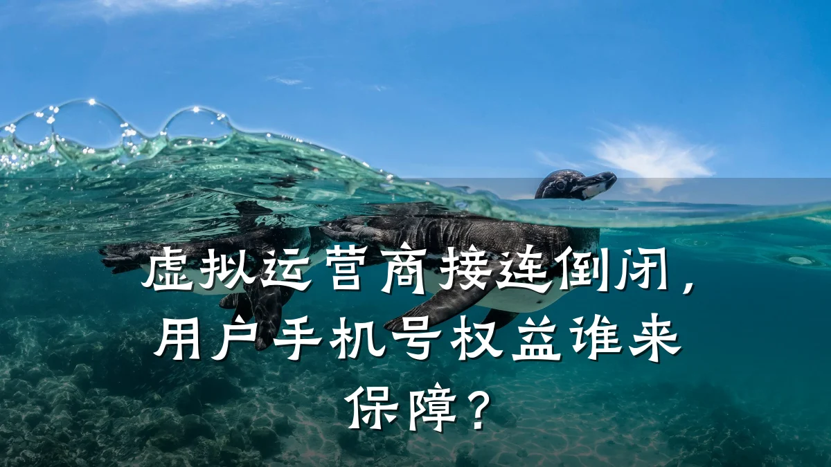 虚拟运营商接连倒闭，用户手机号权益谁来保障？