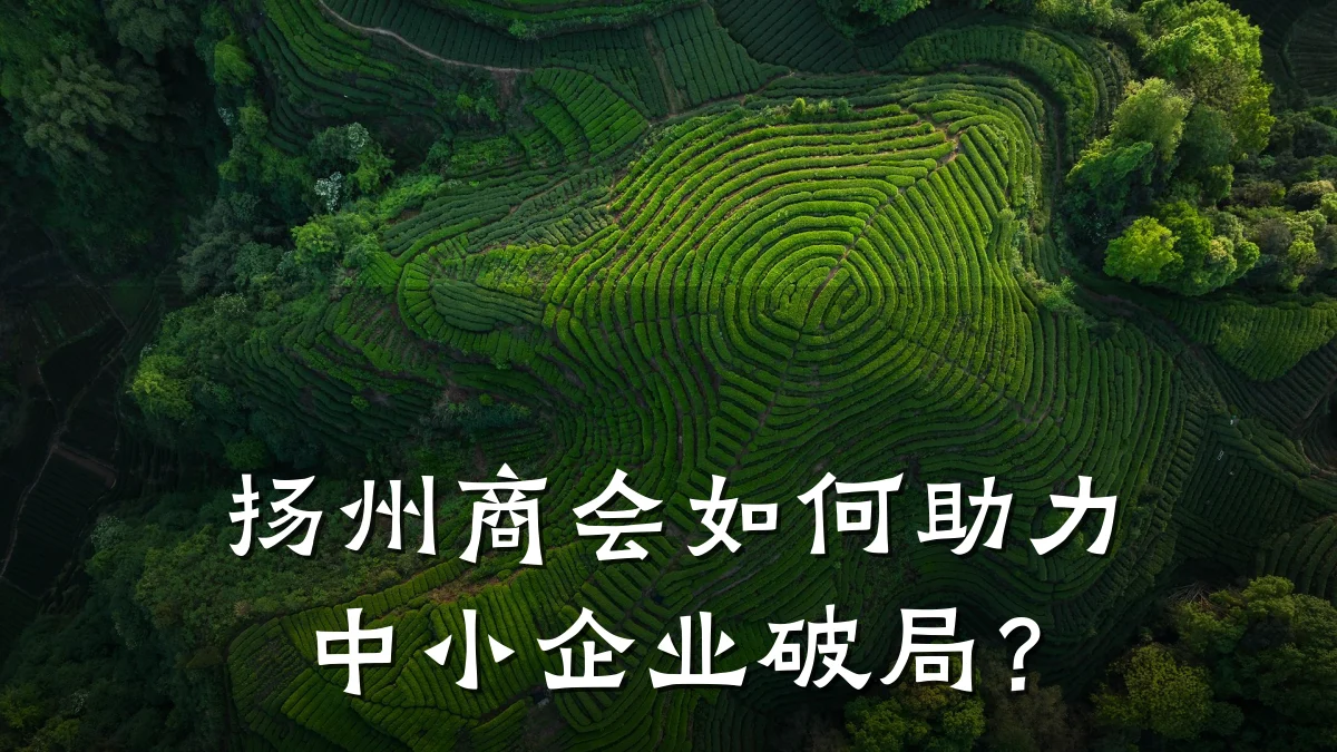 扬州商会如何助力中小企业破局?