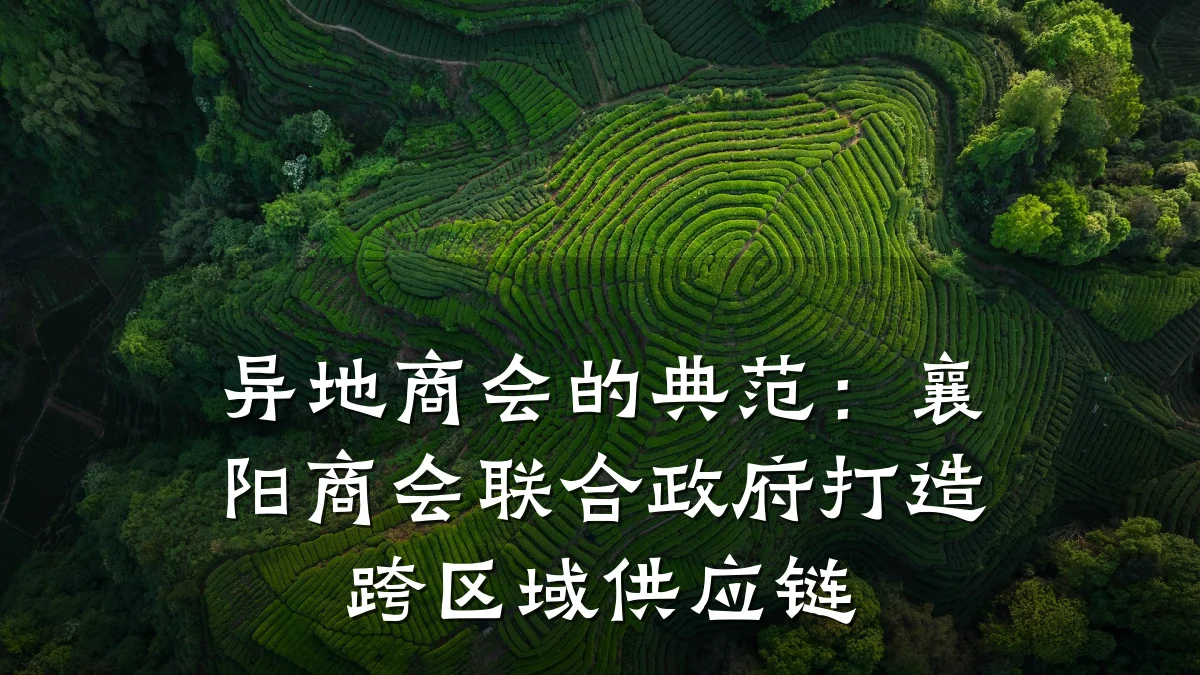异地商会的典范：襄阳商会联合政府打造跨区域供应链
