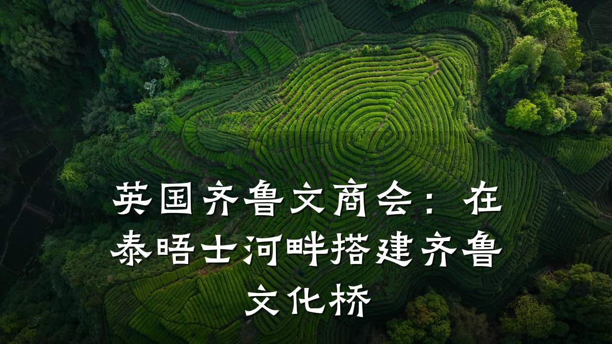 英国齐鲁文商会:在泰晤士河畔搭建齐鲁文化桥