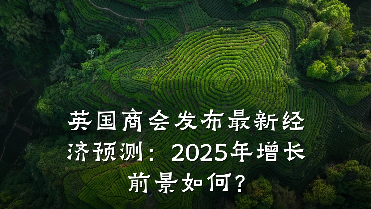 英国商会发布最新经济预测:2025年增长前景如何?