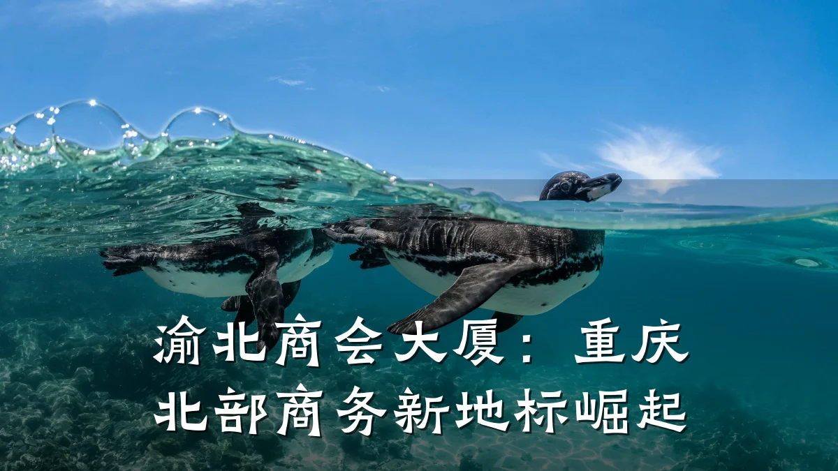 渝北商会大厦：重庆北部商务新地标崛起