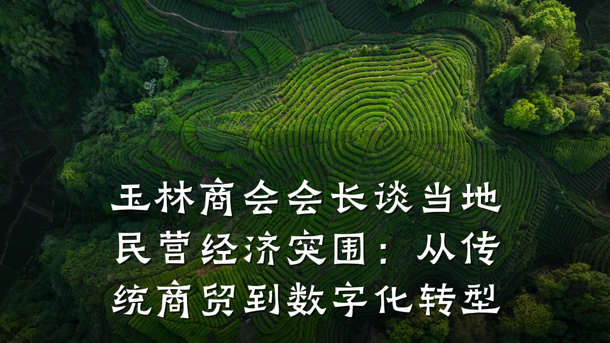 玉林商会会长谈当地民营经济突围:从传统商贸到数字化转型