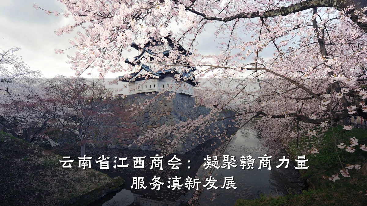 云南省江西商会：凝聚赣商力量 服务滇新发展