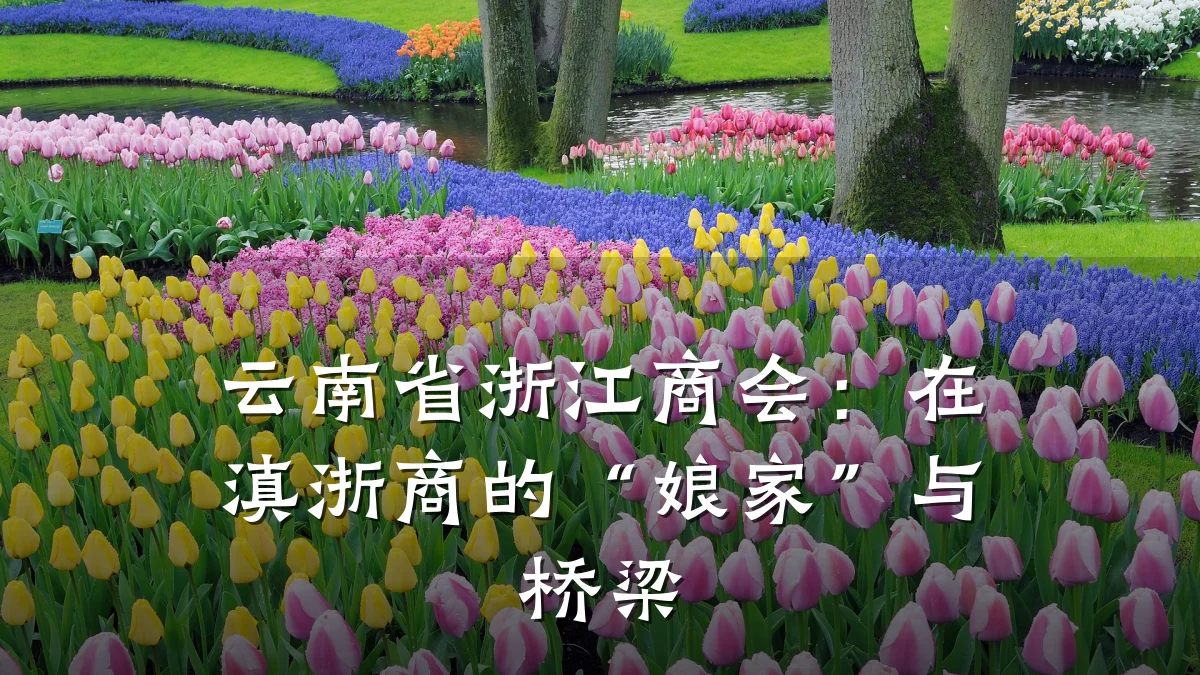 云南省浙江商会:在滇浙商的“娘家”与桥梁