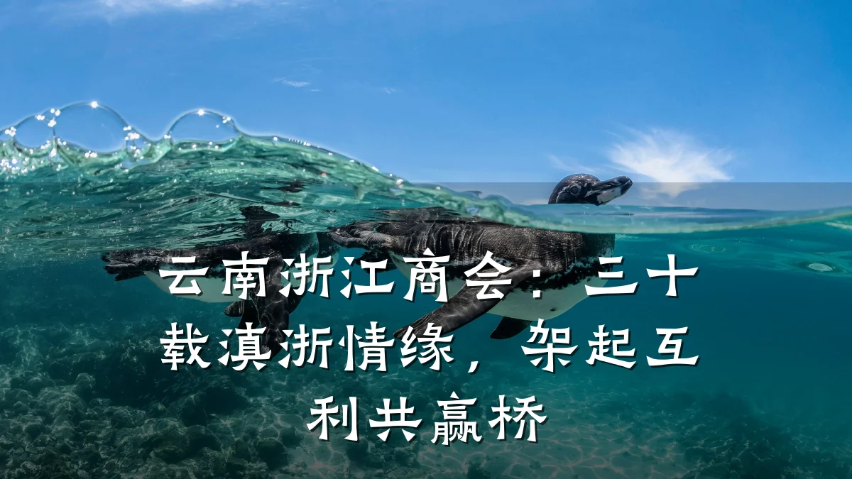 云南浙江商会:三十载滇浙情缘,架起互利共赢桥