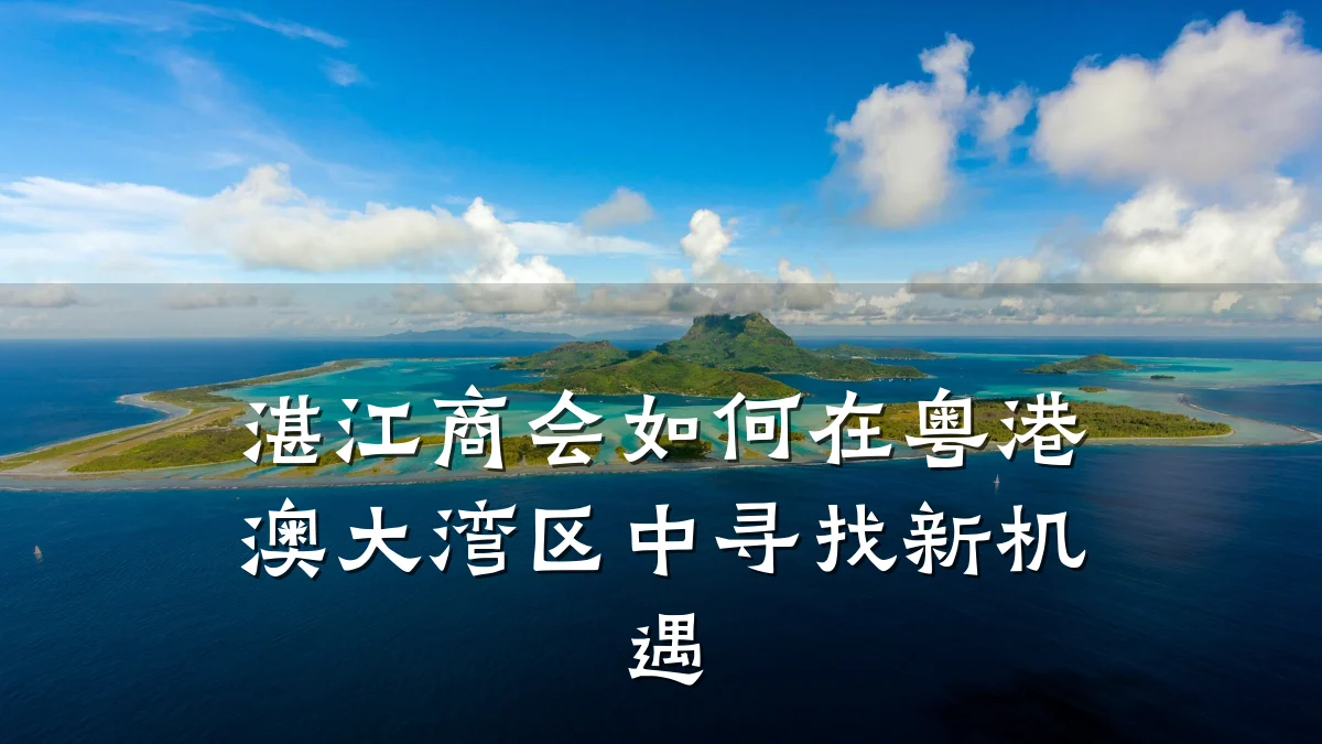 湛江商会如何在粤港澳大湾区中寻找新机遇