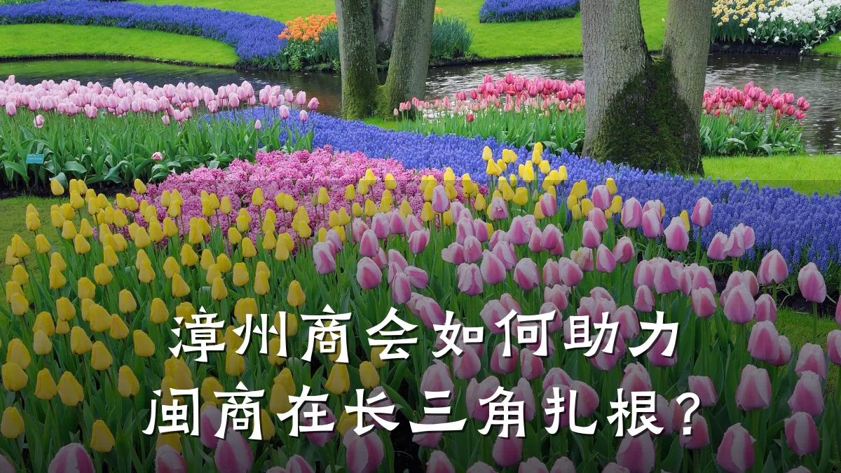 漳州商会如何助力闽商在长三角扎根?