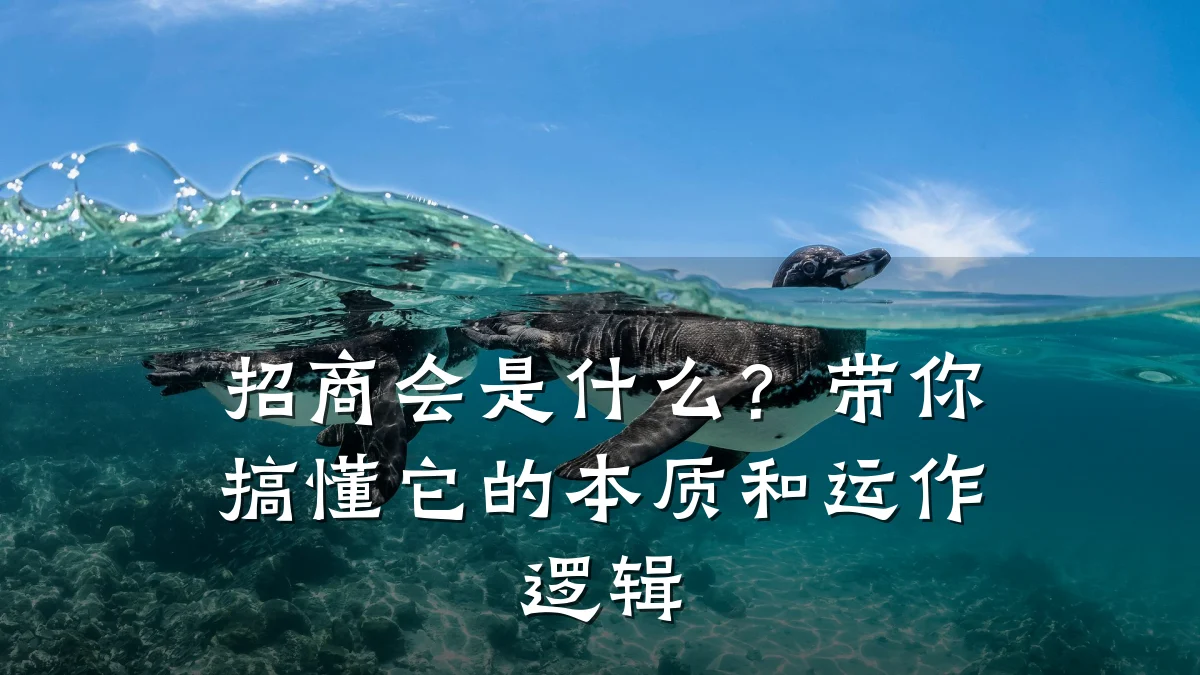 招商会是什么?带你搞懂它的本质和运作逻辑