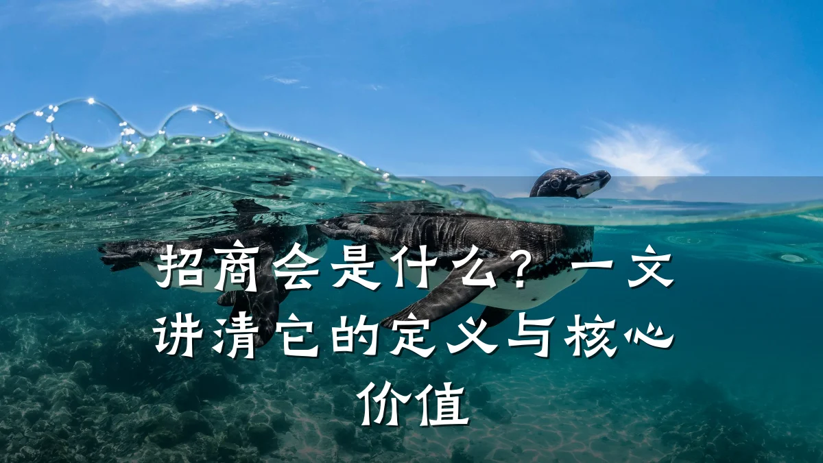 招商会是什么?一文讲清它的定义与核心价值