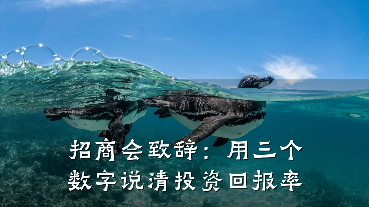 招商会致辞:用三个数字说清投资回报率
