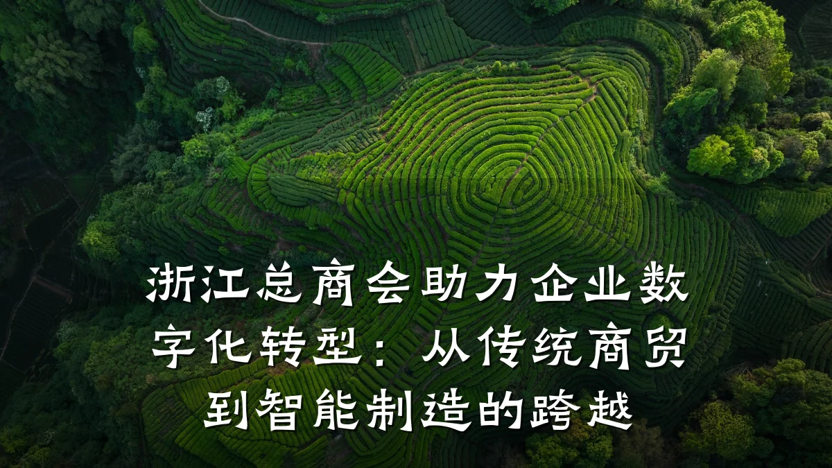 浙江总商会助力企业数字化转型：从传统商贸到智能制造的跨越