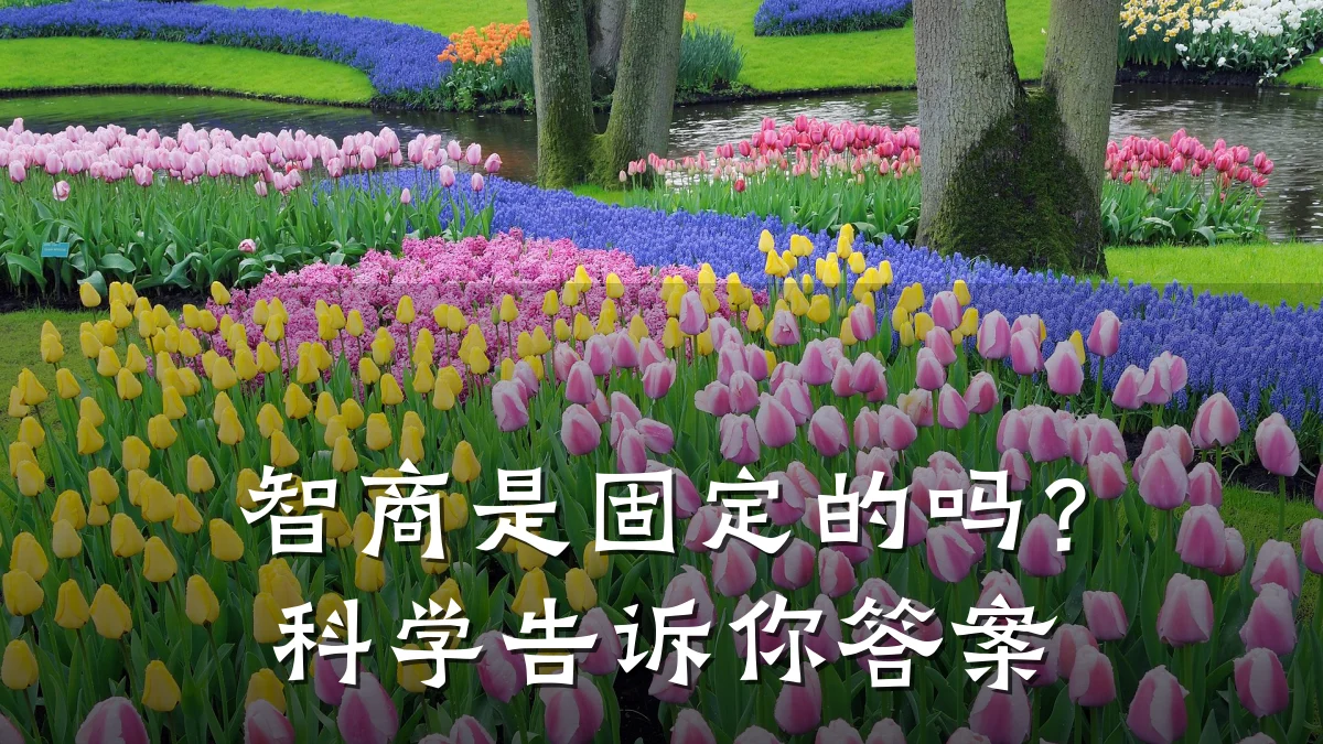 智商是固定的吗?科学告诉你答案