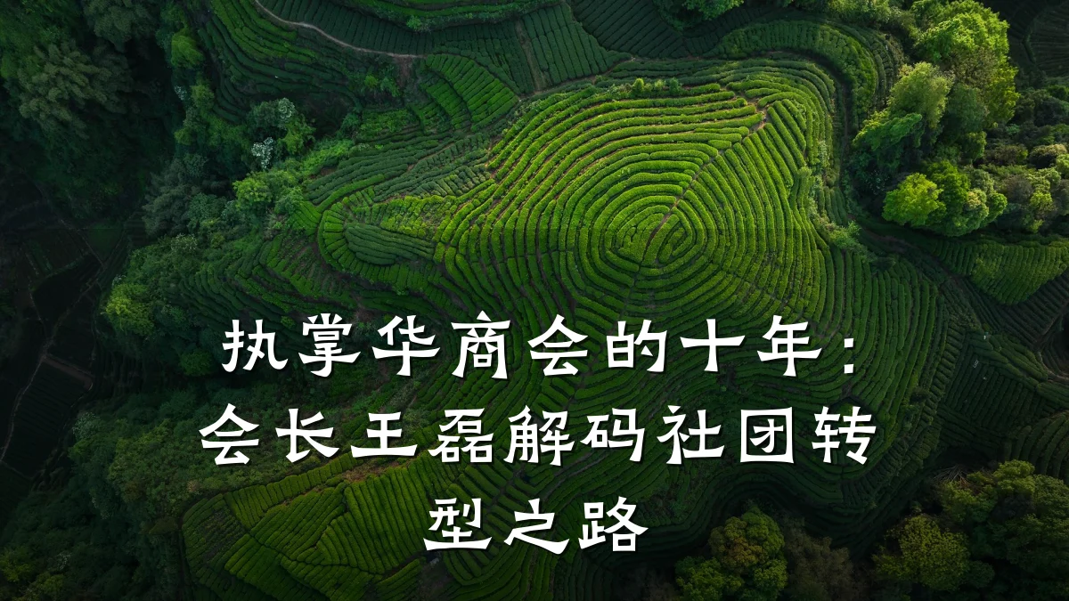 执掌华商会的十年：会长王磊解码社团转型之路